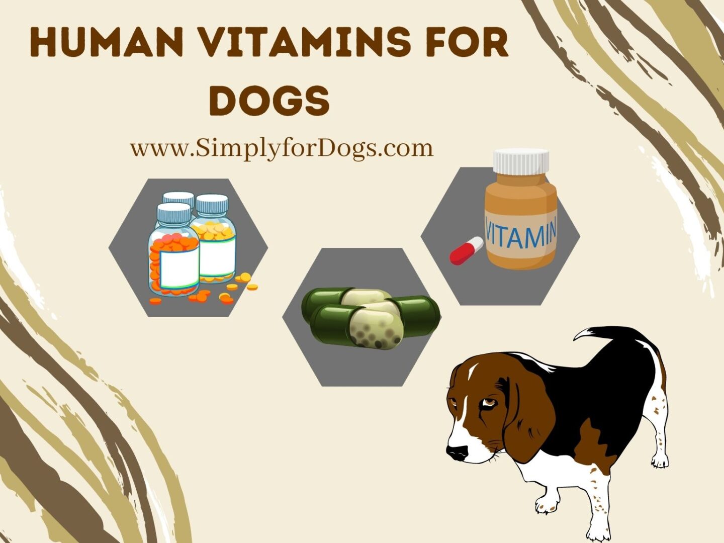 Human Vitamins for Dogs – Yes or No_