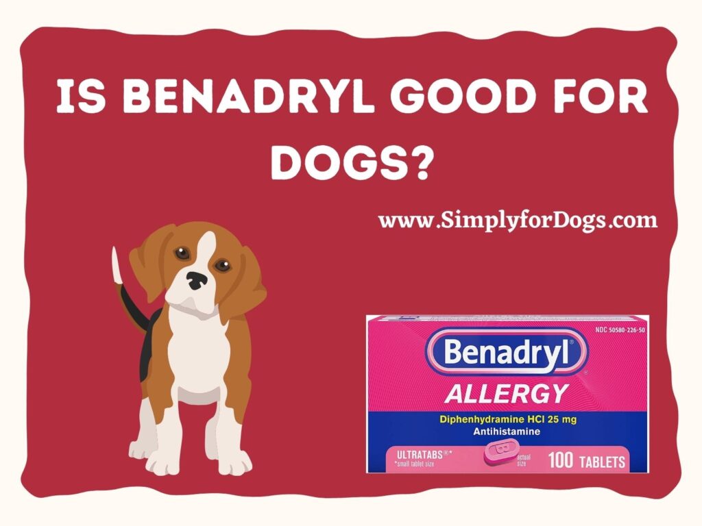 Is Benadryl Good for Dogs? - (Pros & Cons) Simply For Dogs