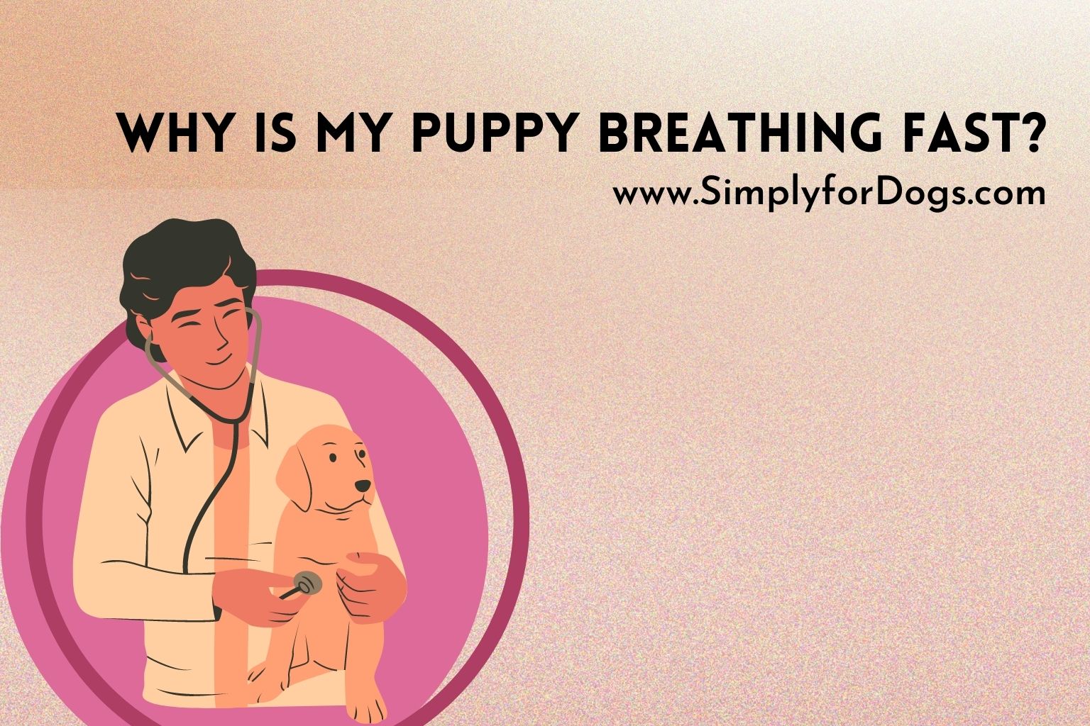 why-is-my-puppy-breathing-fast-the-hidden-reason-simply-for-dogs