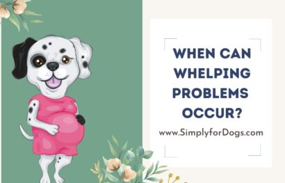 Whelping Problems