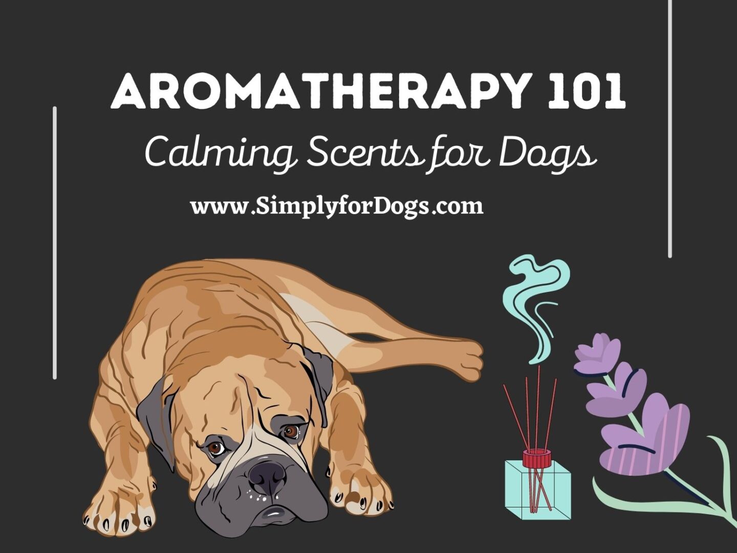 Aromatherapy 101