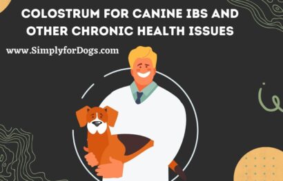 Colostrum for Canine IBS and Other Chronic Health Issues