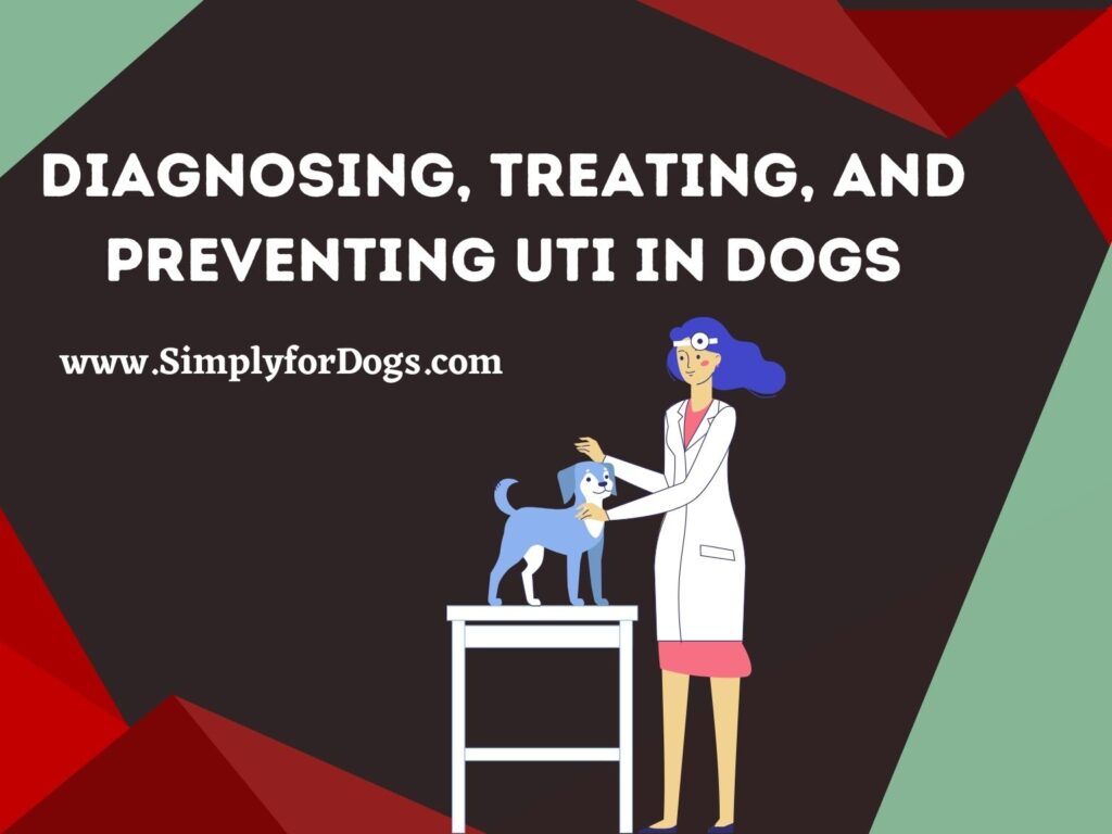 UTI in Dogs (The Clinical Approach) Simply For Dogs