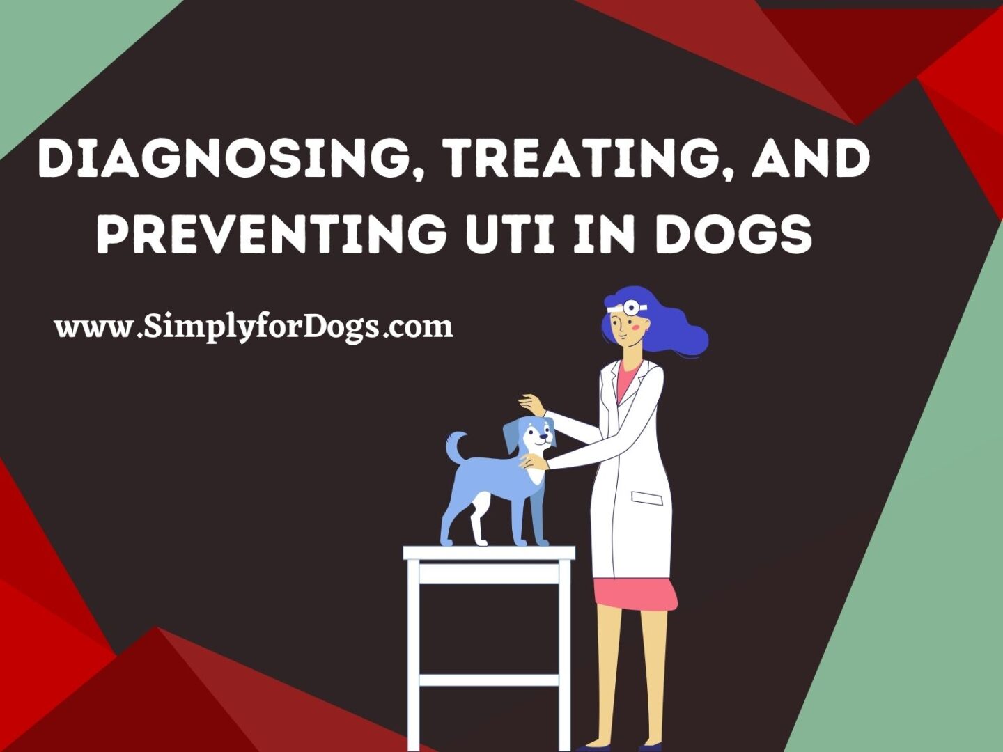 UTI in Dogs (The Clinical Approach) - Simply For Dogs
