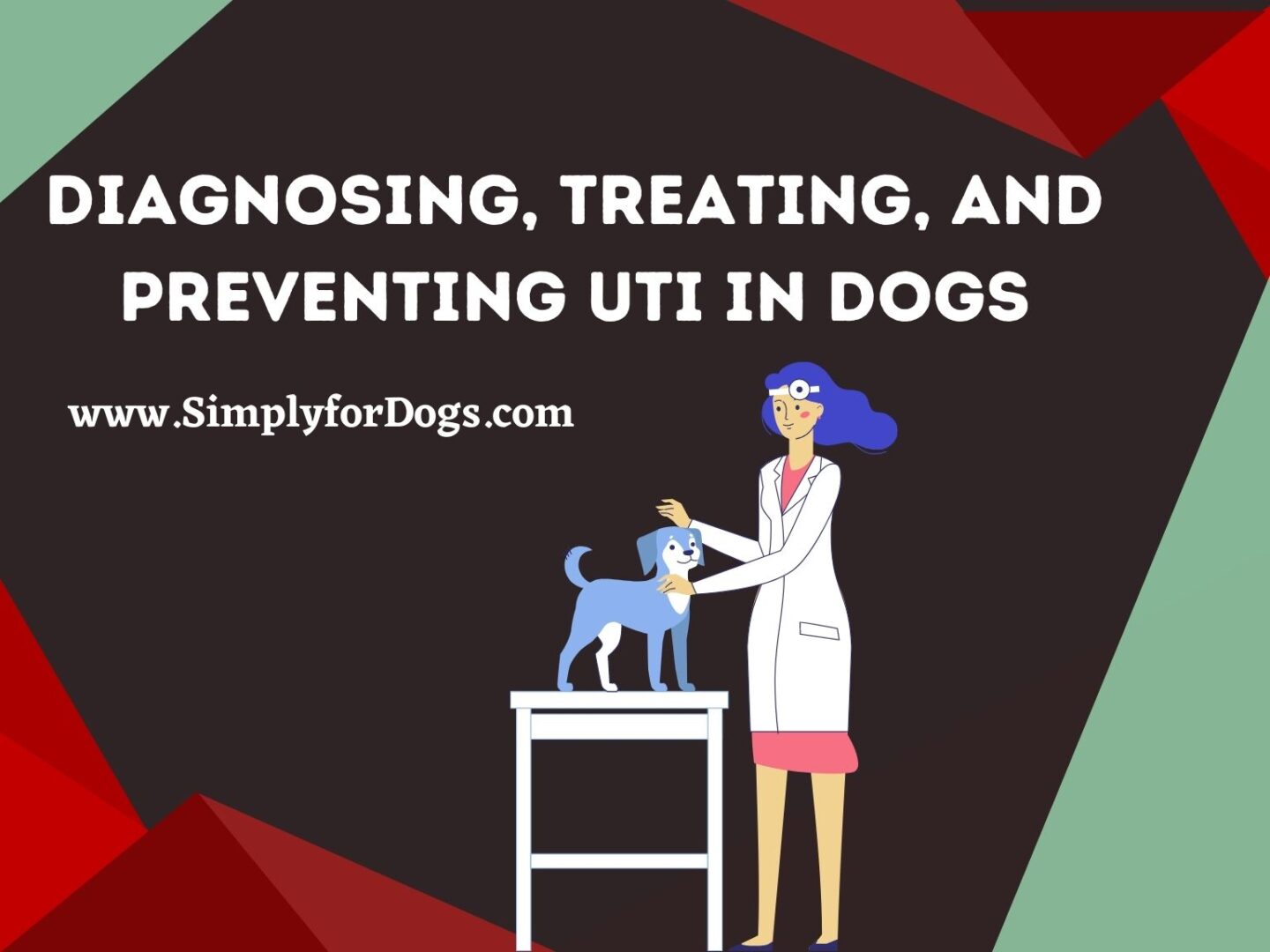 Persistent Uti In Dogs