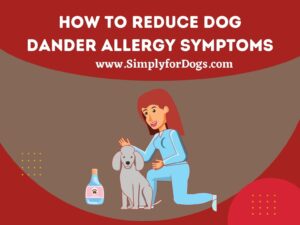 Dander Definition Dog Dander Allergy Symptoms (Way to Reduce) - Simply For Dogs