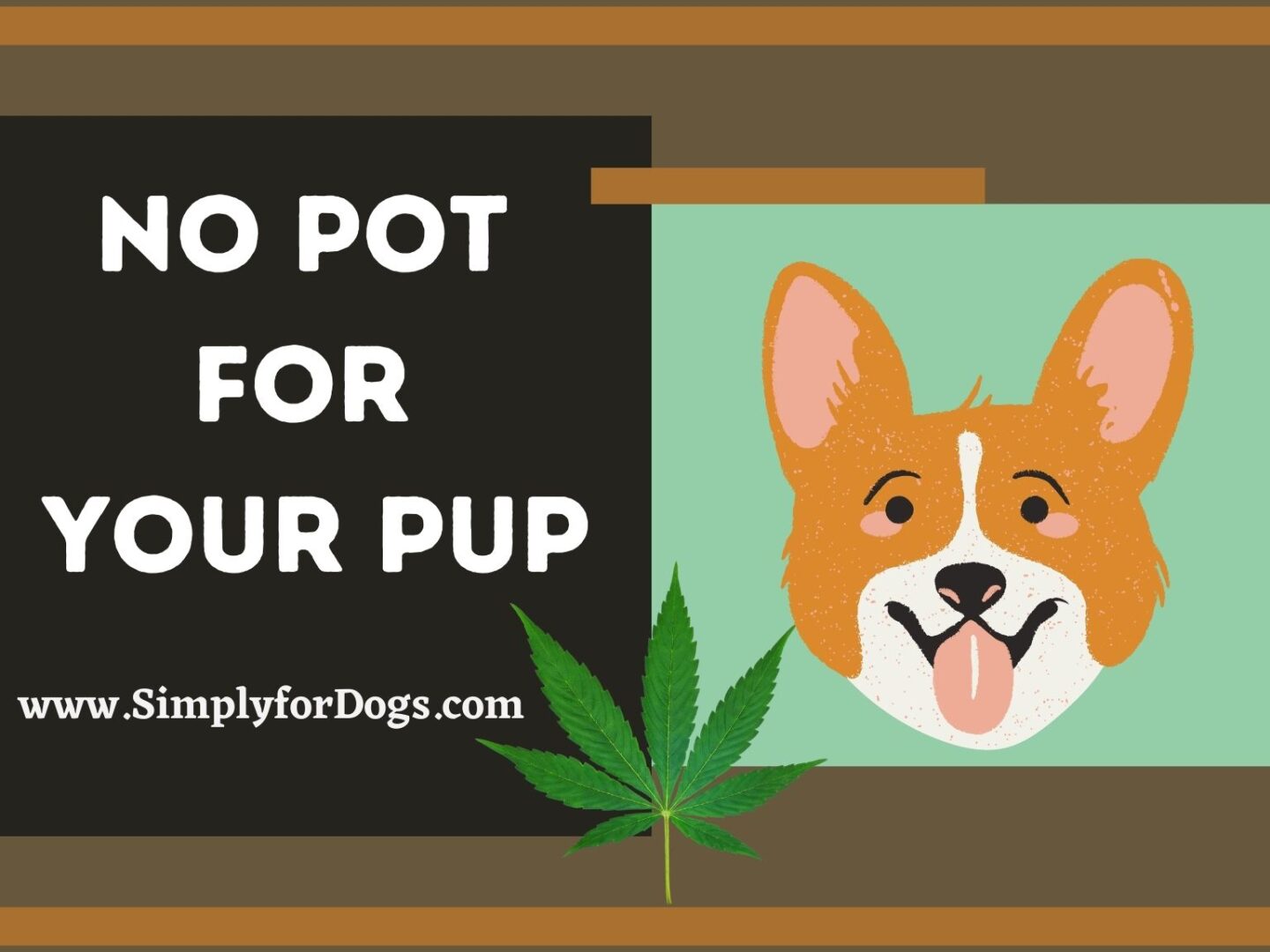 No Pot for Your Pup