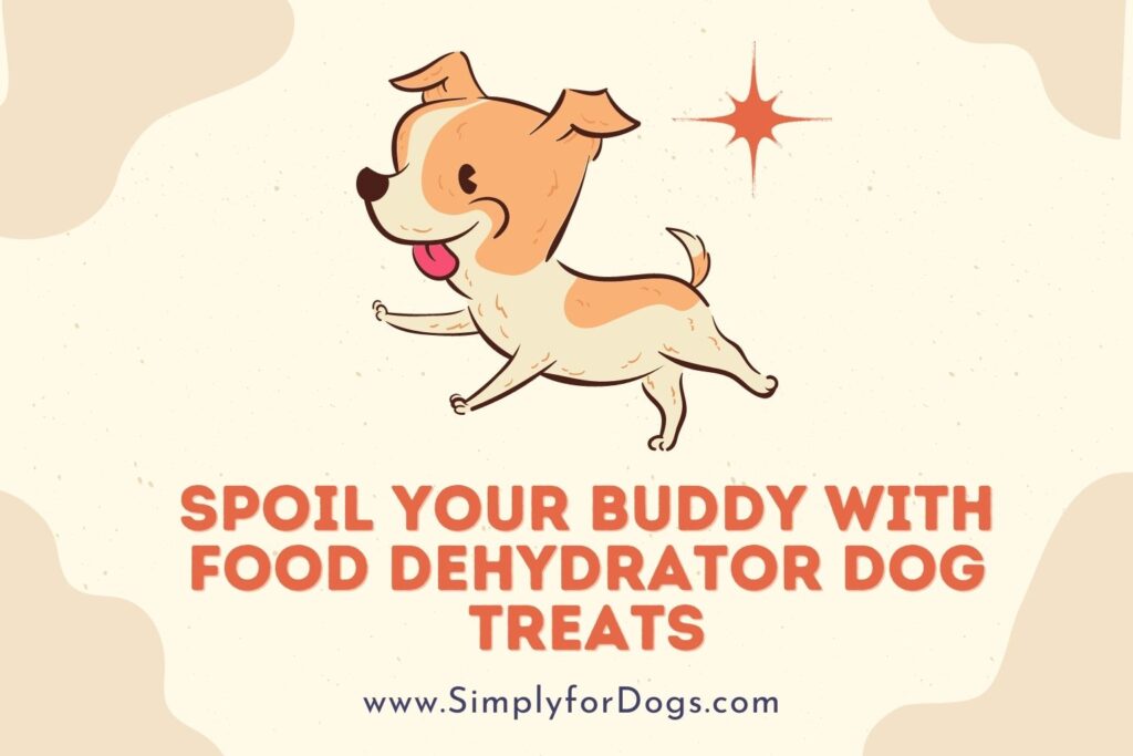 Food Dehydrator Dog Treats (Is It Bad or Good?) Simply For Dogs