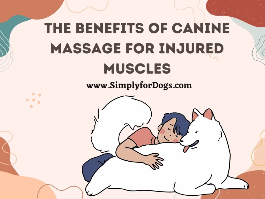 Canine Massage for Injured Muscles (Effective Steps) Simply For Dogs