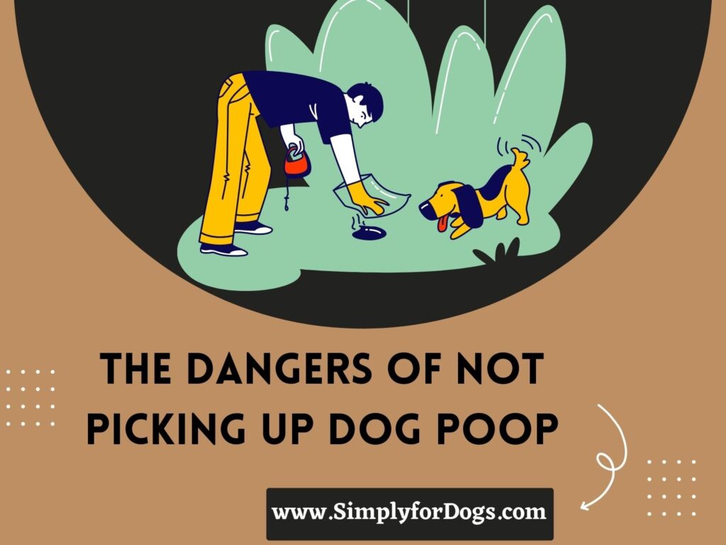 The Dangers of Not Picking Up Dog Poop (Cleaning Method)