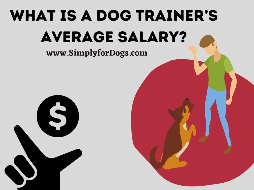 what-is-a-dog-trainer-s-average-salary-detailed-info-simply-for-dogs