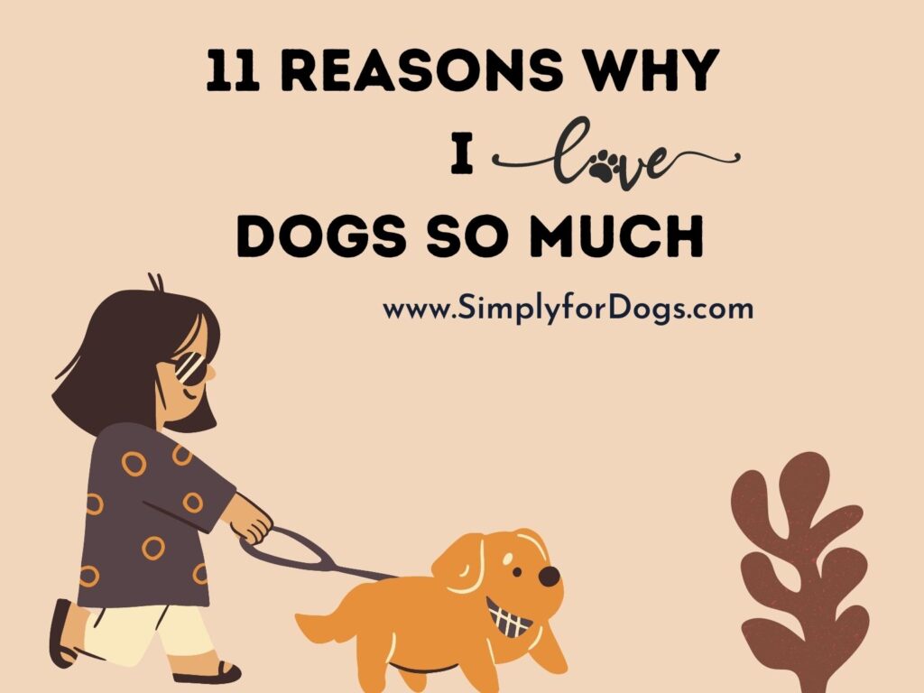 Reasons Why I Love Dogs So Much - (What About Yours?)