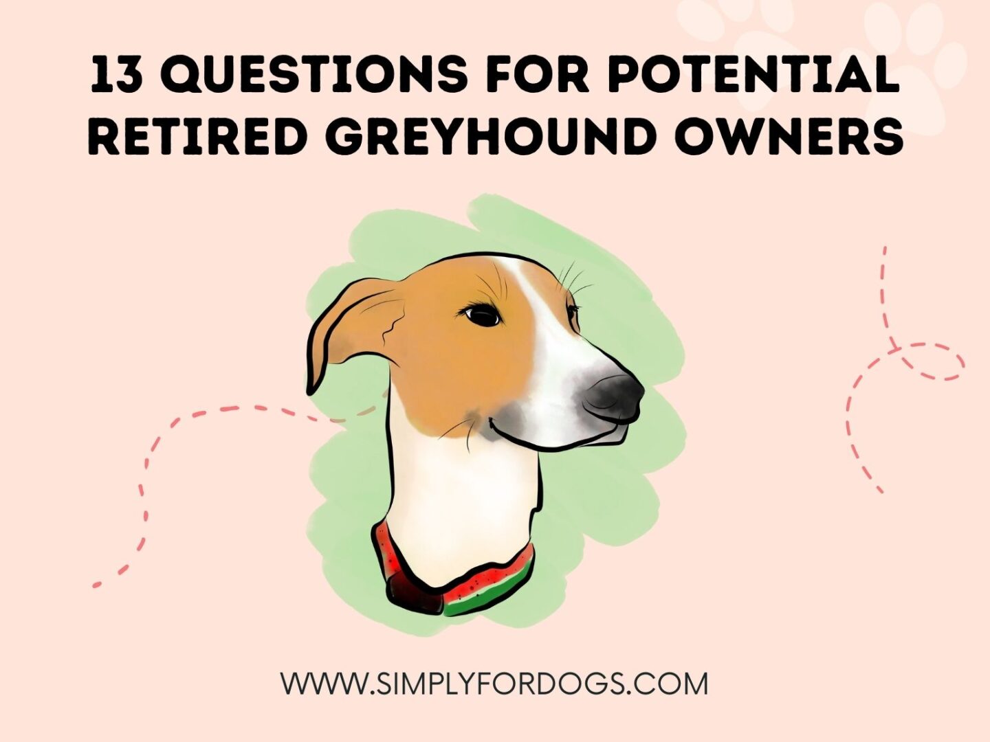 13 Questions for Potential Retired Greyhound Owners