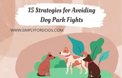 15 Strategies for Avoiding Dog Park Fights