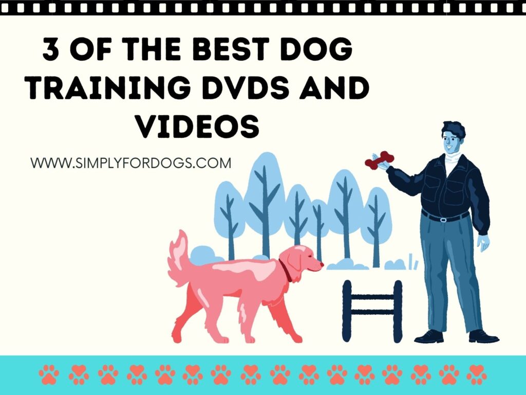 3 of the Best Dog Training DVDs and Videos (Your Helping Guide)