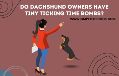 Do Dachshund Owners Have Tiny Ticking Time Bombs_