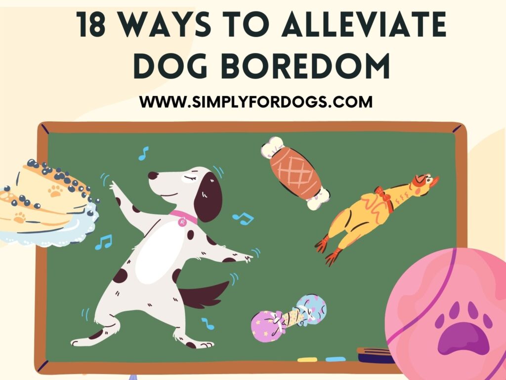 18 Ways to Alleviate Dog Boredom (Easy Steps) Simply For Dogs