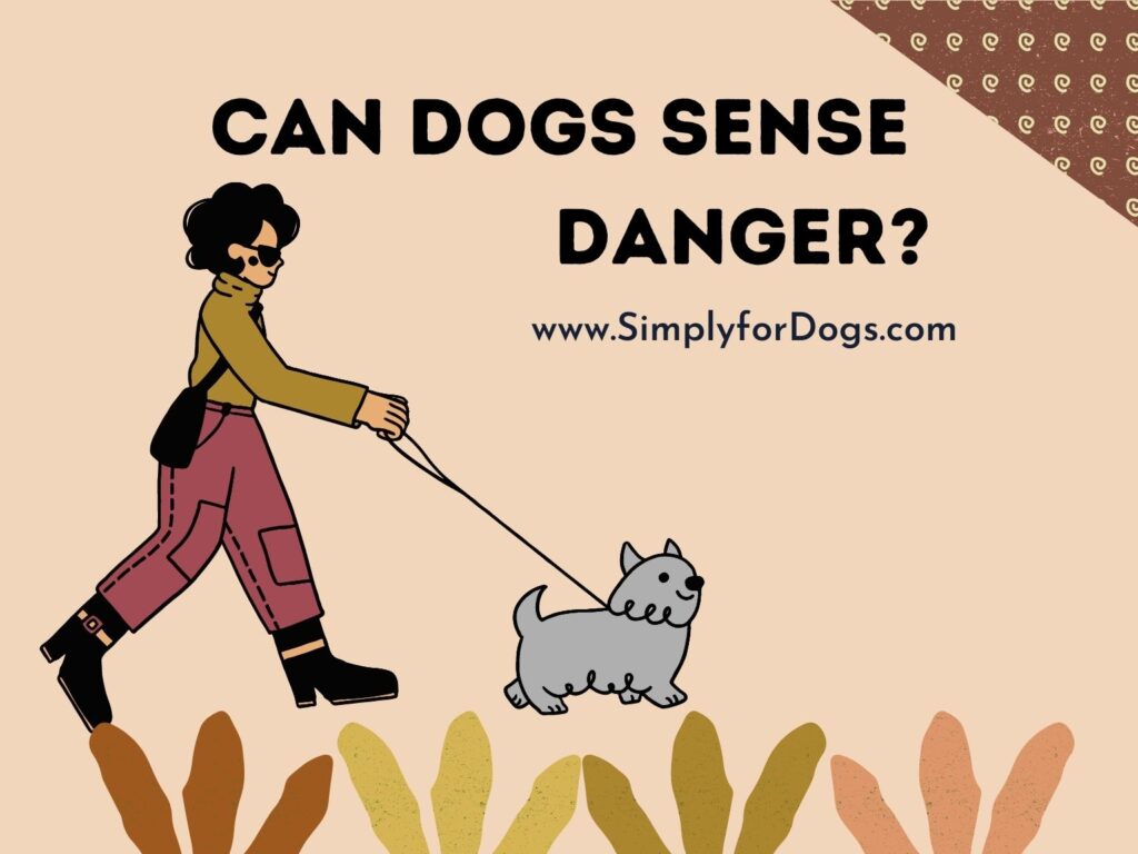 how-can-dogs-sense-danger-how-and-when-simply-for-dogs