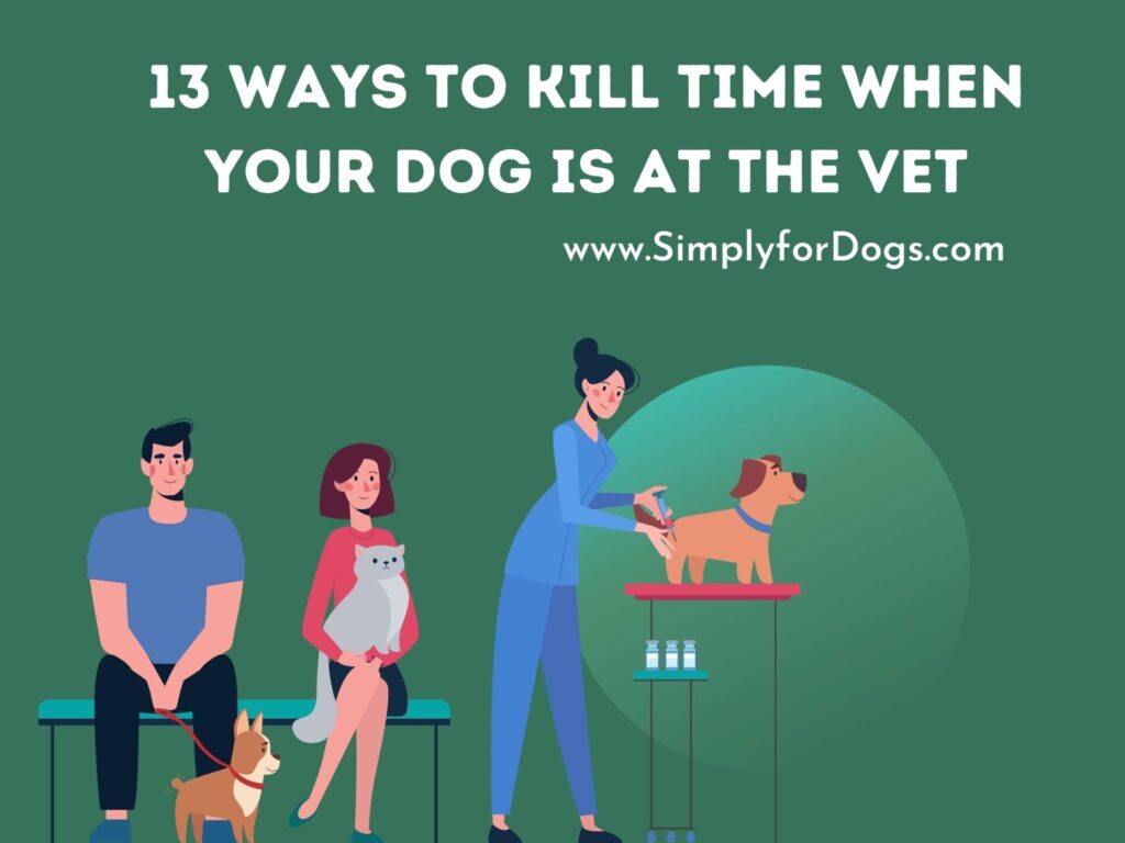 13-ways-to-kill-time-when-your-dog-is-at-the-vet-fun-fact