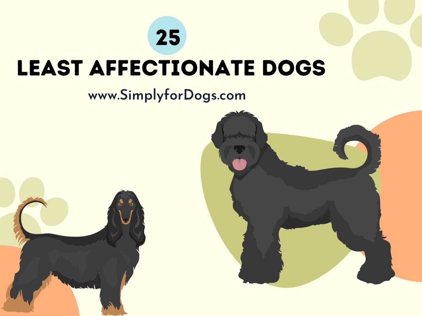 25 Least Affectionate Dogs - (Why? Are They Dangerous?)