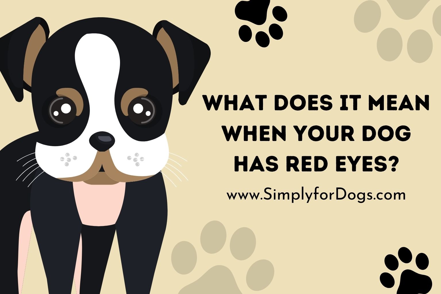 dog-has-red-eyes-easy-solution-simply-for-dogs