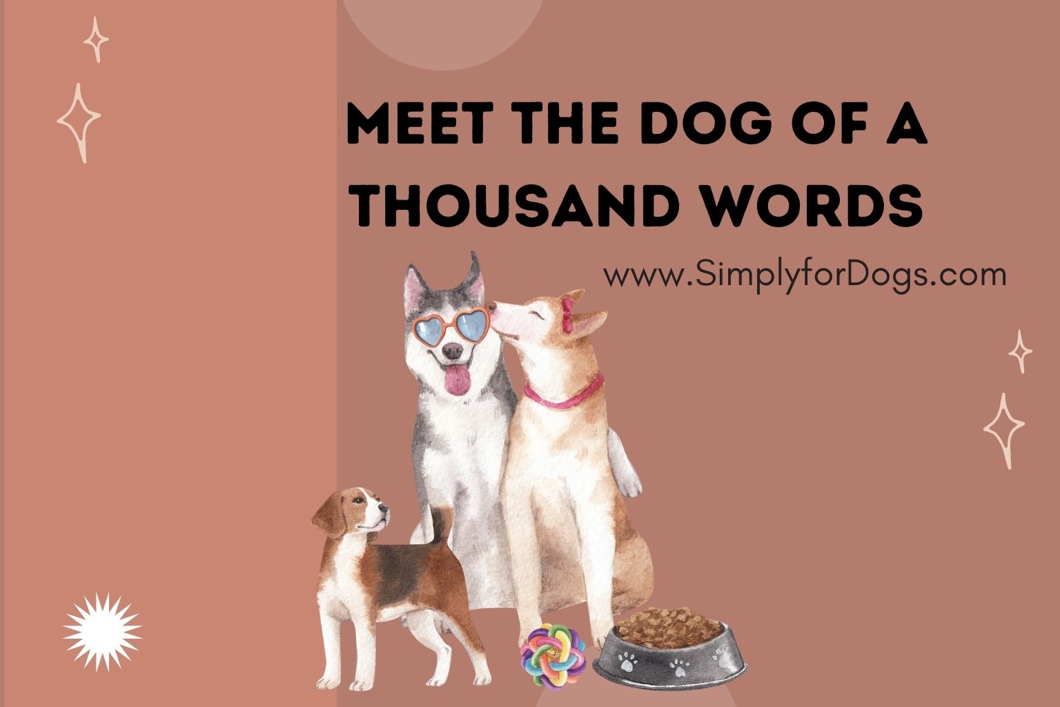 Meet the Dog of a Thousand Words