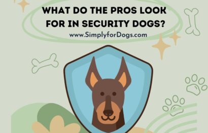 What Do the Pros Look for in Security Dogs