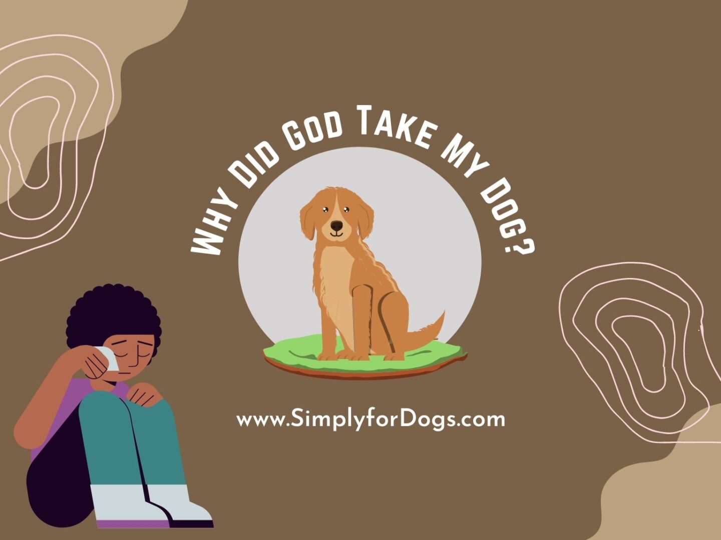 Why Did God Take My Dog_