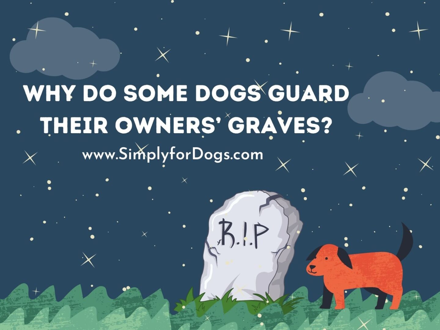 Why Do Some Dogs Guard Their Owners’ Graves_