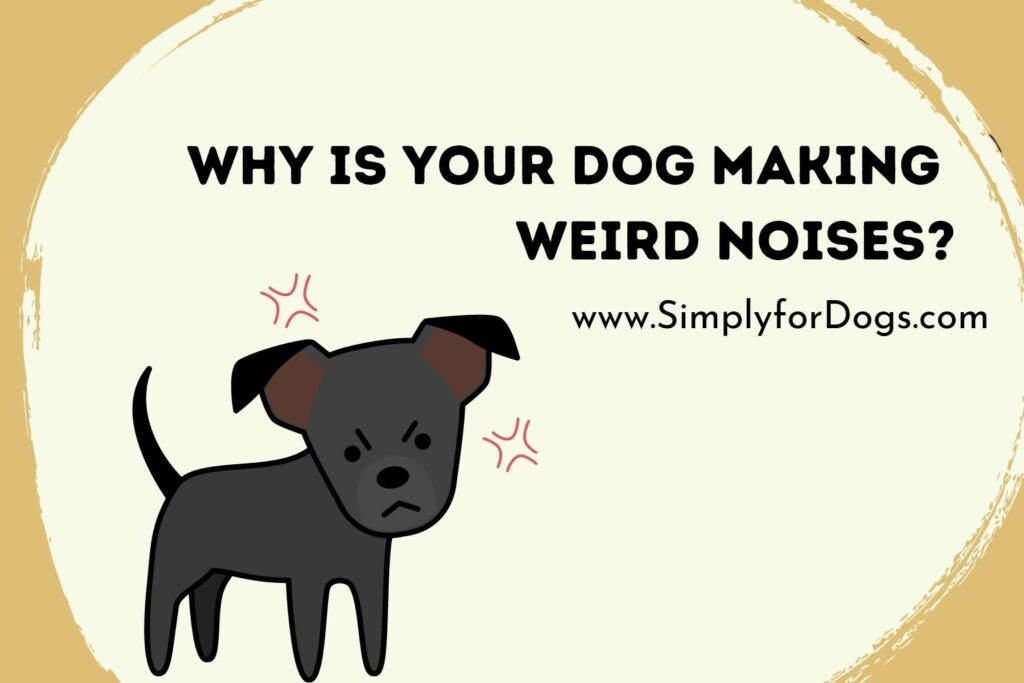 why-is-your-dog-making-weird-noises-how-to-stop-simply-for-dogs