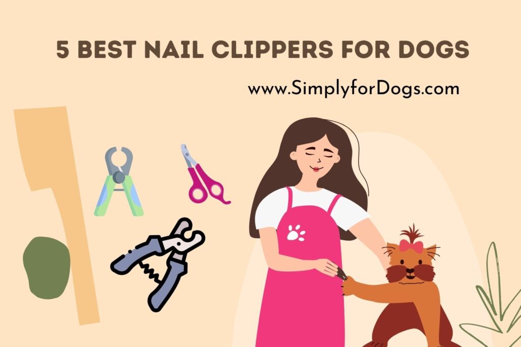 5 Best Nail Clippers for Dogs (CHEAP & AVAILABLE) Simply For Dogs