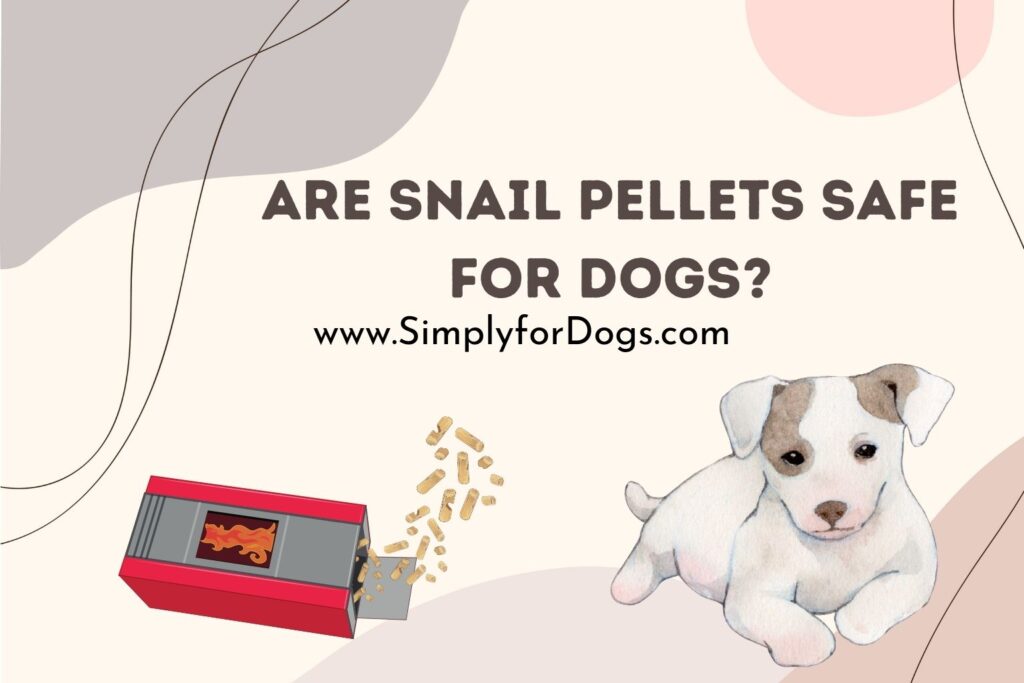 Are Snail Pellets Safe for Dogs? (NO, Why?) Simply For Dogs