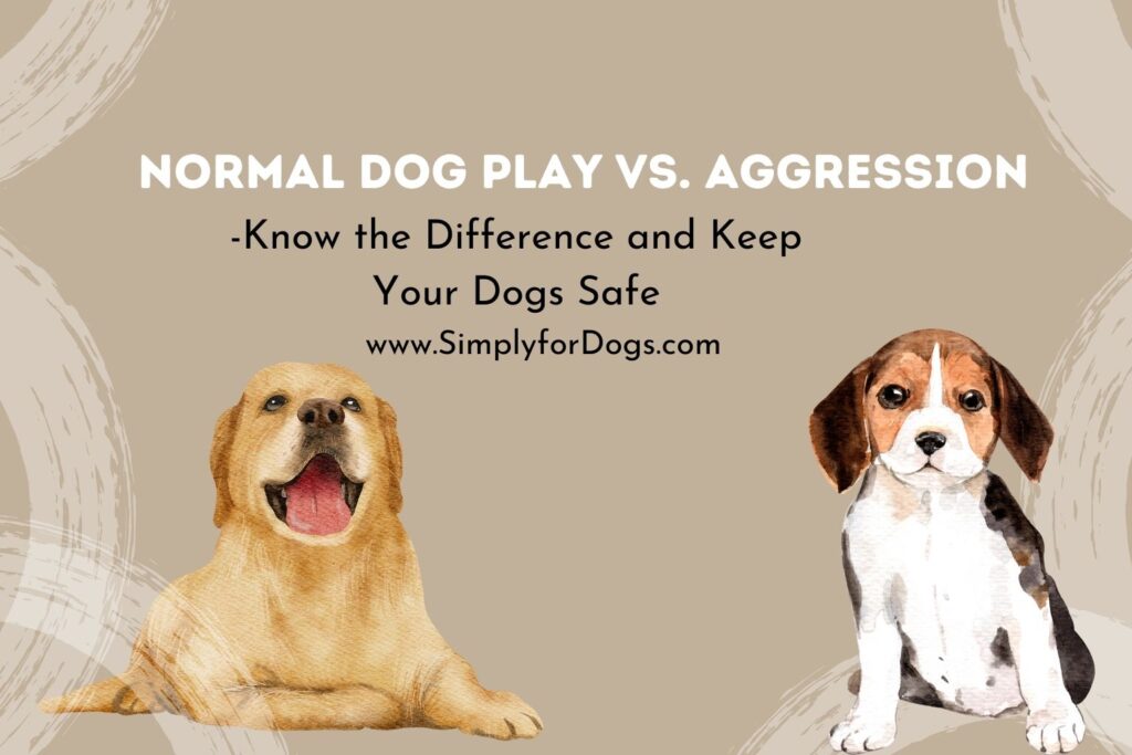 Dog Play vs Aggression (About Dissimilarities) Simply For Dogs