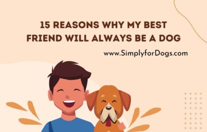 15 Reasons Why My Best Friend Will Always Be a Dog