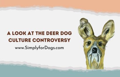 A Look at the Deer Dog Culture Controversy