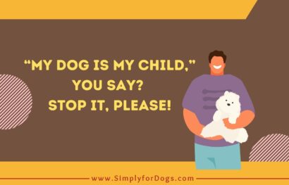 “My Dog is My Child,” You Say_ Stoppit, Please!