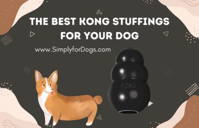 The Best Kong Stuffings for Your Dog