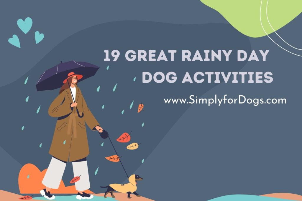 Rainy Day Dog Activities (Fun Facts) Simply For Dogs