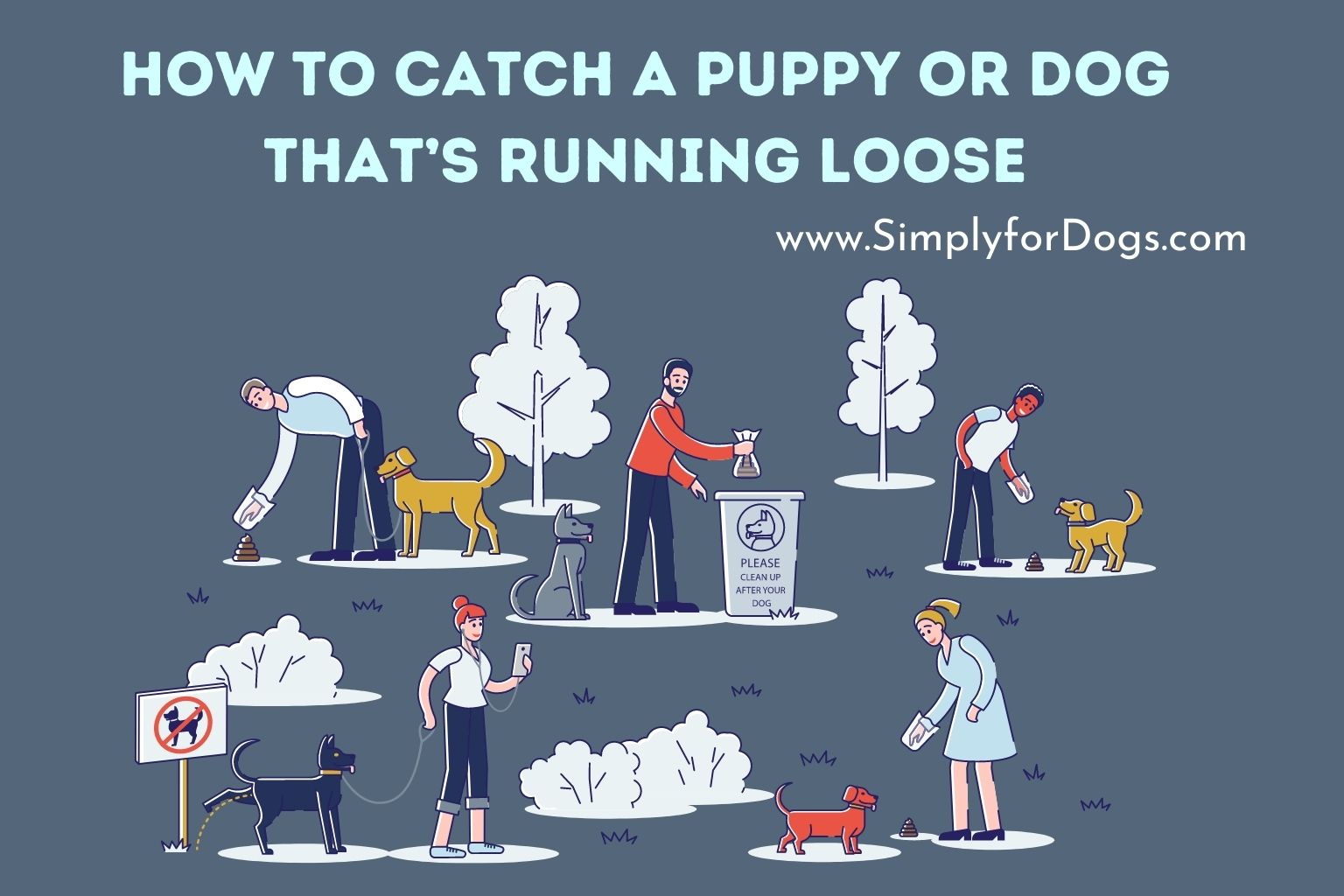 How to Catch a Puppy or Dog That’s Running Loose