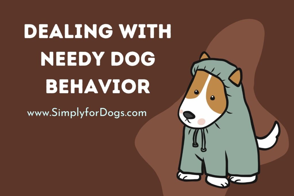 Dealing with Needy Dog Behavior (Facts to Know) Simply For Dogs
