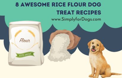 8 Awesome Rice Flour Dog Treat Recipes