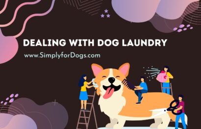 Dealing with Dog Laundry