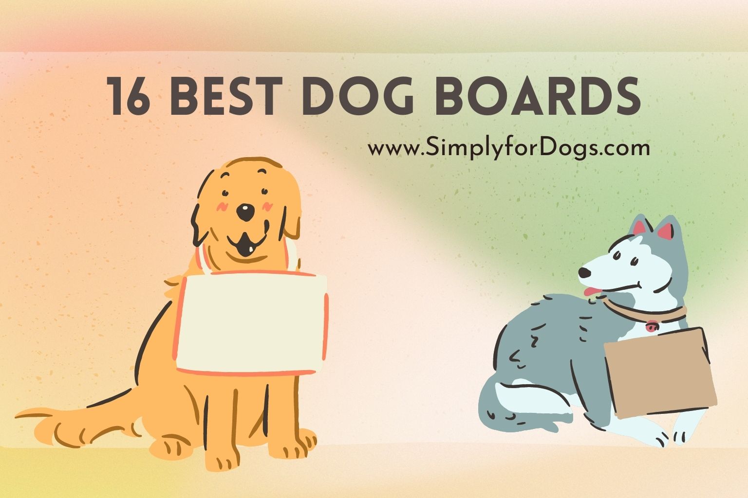 16 Best Dog Boards (Useful & Available) - Simply For Dogs