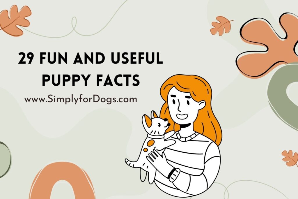 29 Fun and Useful Puppy Facts (Ultimate Happiness Guide) Simply For Dogs