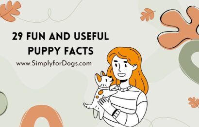 29 Fun and Useful Puppy Facts