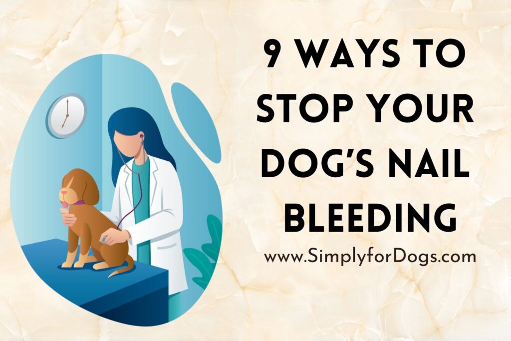 Ways to Stop Your Dog’s Nail Bleeding (Safe Tips) Simply For Dogs