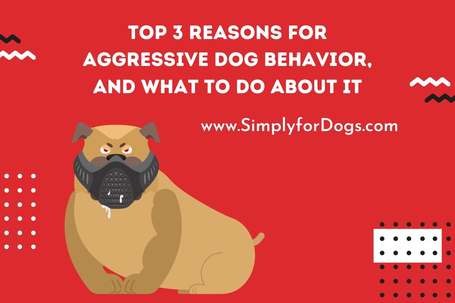 Aggressive Dog (Why And How To Stop) - Simply For Dogs