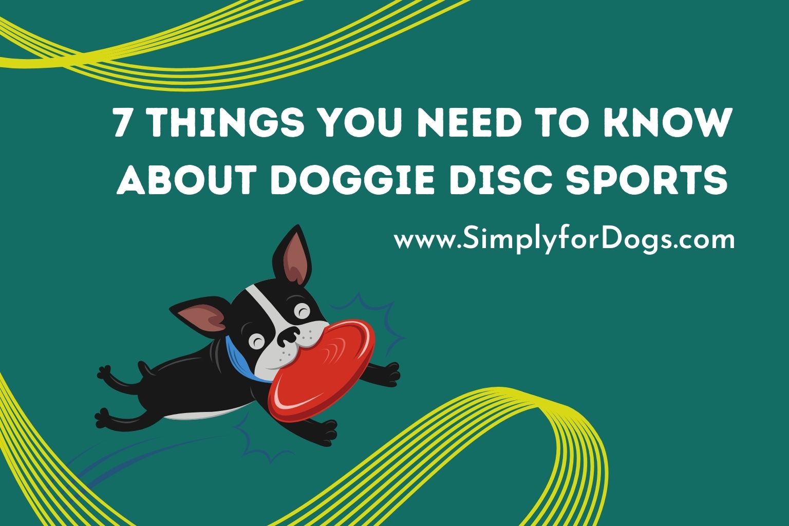 7 Things You Need to Know About Doggie Disc Sports