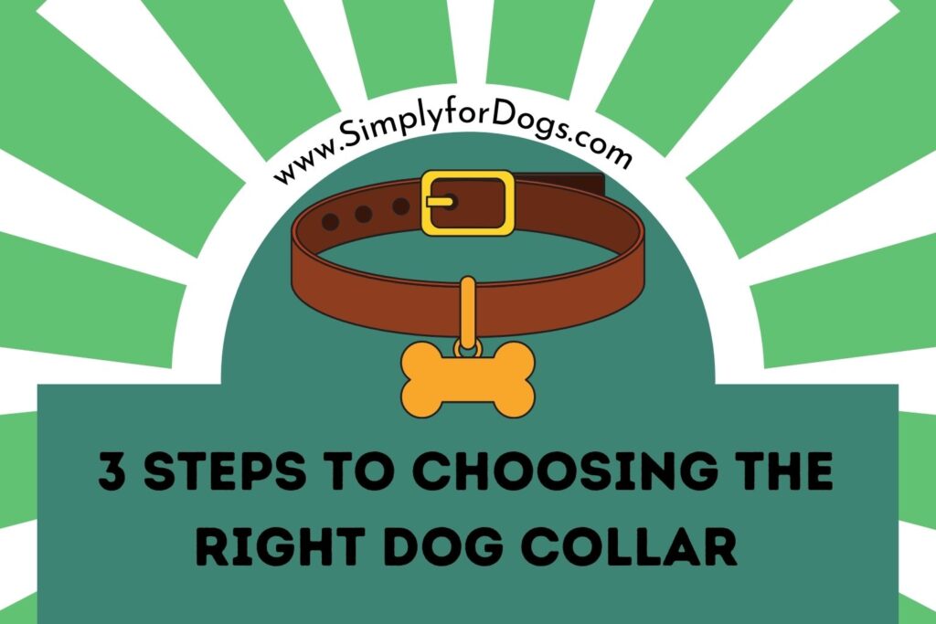 3 Steps to Choosing the Right Dog Collar (Easy Tips) Simply For Dogs