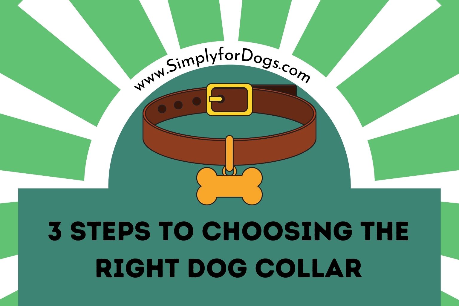 3 Steps to Choosing the Right Dog Collar